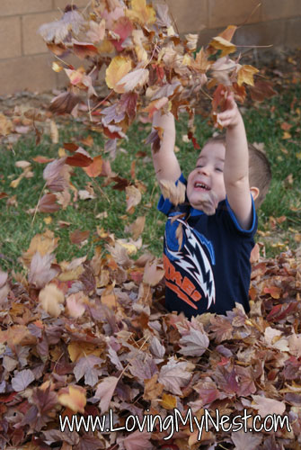 Everyday Life {Jumping in leaves and applesauce}